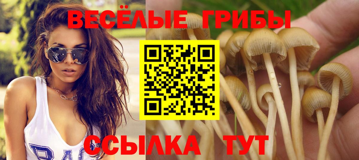 Псилоцибиновые грибы Cubensis  Вход с VPN  Конаково  Псилоцибиновые грибы Magic Shrooms 